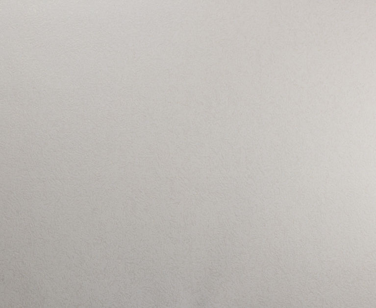Вінілові шпалери на флізеліновій основі LS Арабелла ДХV-1481/1 молочний 10,05 x 1,06 м - 2