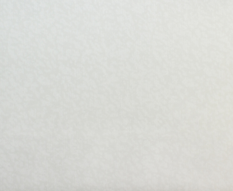 Вінілові шпалери на флізеліновій основі LS Зан ДХН-1425/5 сірий 10,05 x 1,06 м - 2