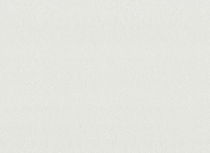 Вінілові шпалери на флізеліновій основі LS Есмеральда ДХН-1253/1 сірий 10,05 x 1,06 м