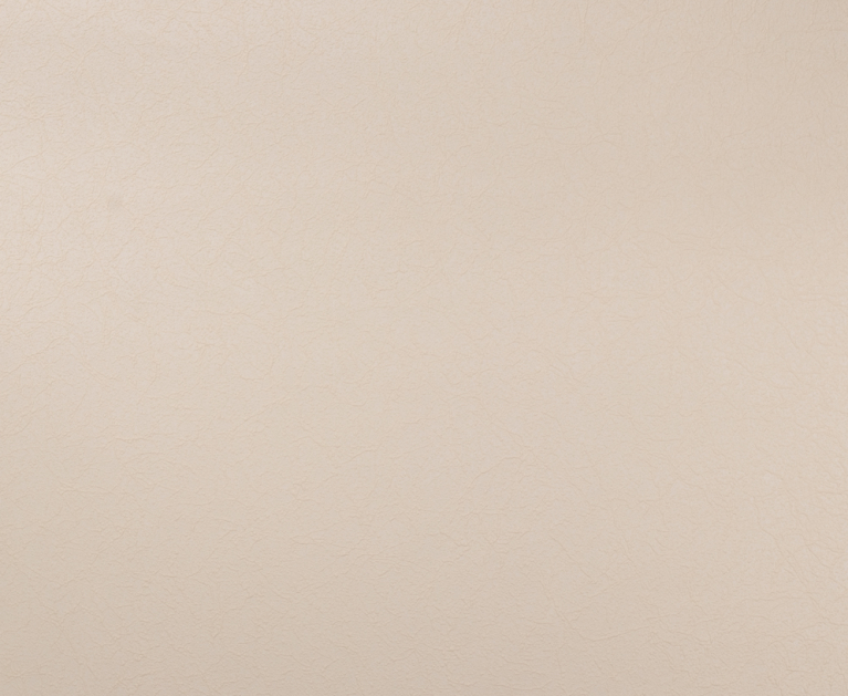 Вінілові шпалери на флізеліновій основі LS Під фарбу PRO 3 - Light3 брудно-пісочний 10,05 x 1,06 м - 2