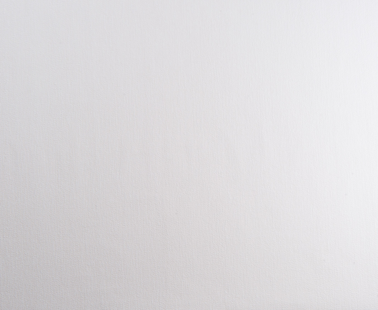Вінілові шпалери на флізеліновій основі LS Атуріна ДХН-1496/4 капучиновий 10,05 x 1,06 м - 2