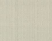 Вінілові шпалери на флізеліновій основі LS Денім ДХН-1421/2 світло-бежево-капучиновий 10,05 x 1,06 м