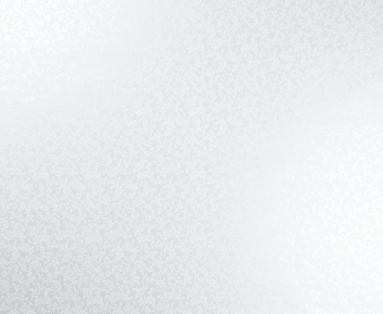 Вінілові шпалери на флізеліновій основі LS Голден ДХН-1498/1 білий 10,05 x 1,06 м - 2