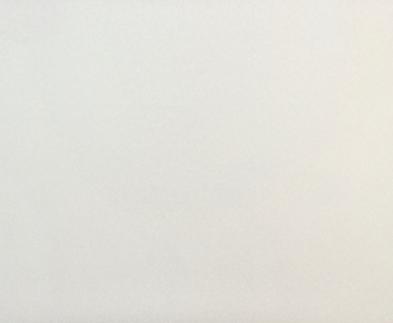 Вінілові шпалери на флізеліновій основі LS Під фарбу PRO 2 білий 25 x 1,06 м - 2