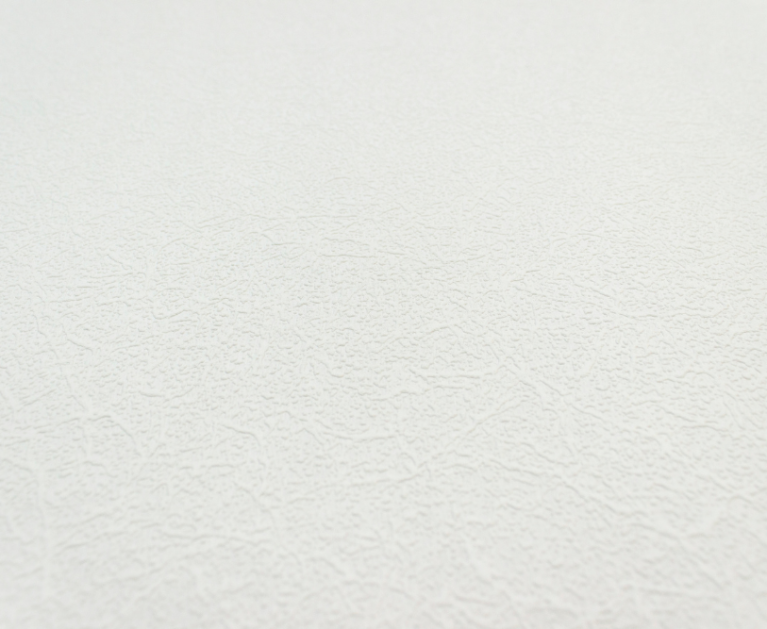 Вінілові шпалери на флізеліновій основі LS Під фарбу PRO 3 білий 25 x 1,06 м - 3