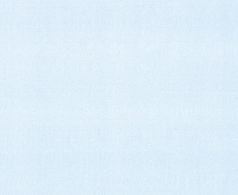 Вінілові шпалери гарячого тиснення LS Одісея ЭШТ ЭШТ 5-1561 блакитний 10,05 x 1,06 м - 2