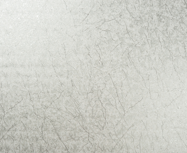 Вінілові шпалери на флізеліновій основі LS Клейн ДХС-1412/4 світло-сіро-сріблястий 10,05 x 1,06 м - 2