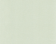 Вінілові шпалери на паперовій основі LS Аліна ВКП2-1176 салатовий 10,05 x 0,53 м