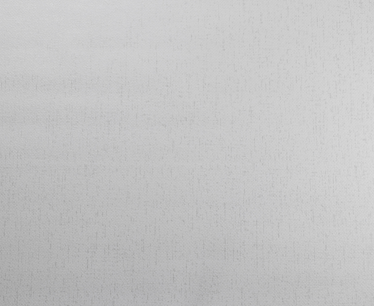 Вінілові шпалери на флізеліновій основі LS Атрей ДХС-1477/2 сіро-білий 10,05 x 1,06 м - 2