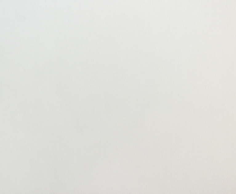 Вінілові шпалери на флізеліновій основі LS Призма ДХН-1493/1 світло-сірий 10,05 x 1,06 м - 2