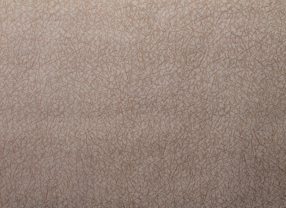 Вінілові шпалери на флізеліновій основі LS ФОЕ ФОЭ-1014/1 персиковий 10,05 x 1,06 м