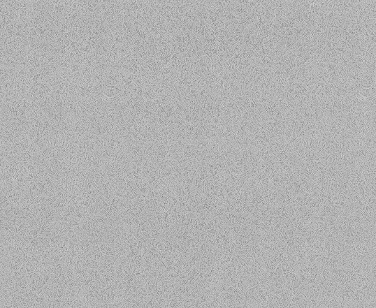 Виниловые обои на флизелиновой основе LS Амадей ДХV-1244/4 светло-серый 10,05 x 1,06 м - 1