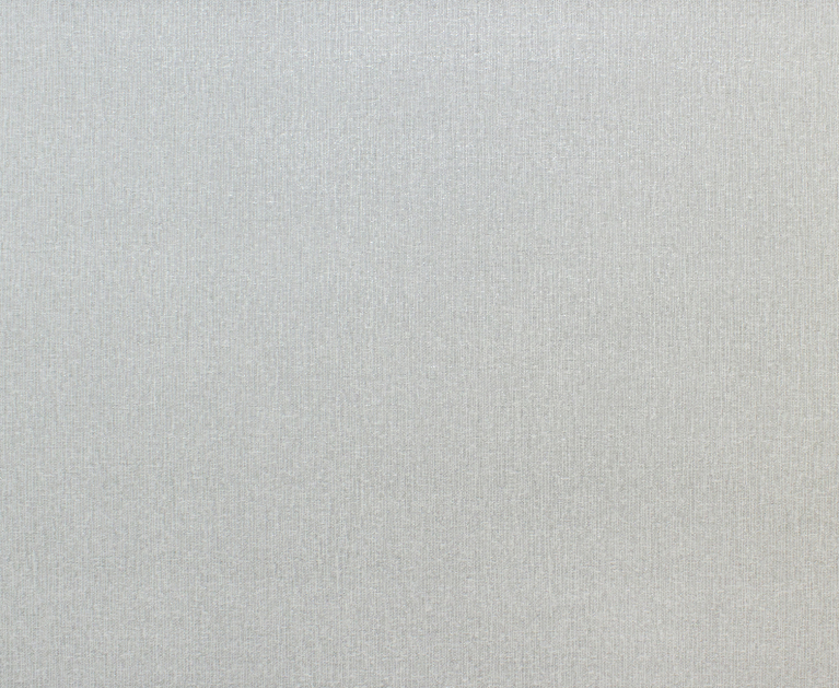 Вінілові шпалери на флізеліновій основі LS Екхард ДХН-1367/5 світло-сірий 10,05 x 1,06 м - 2