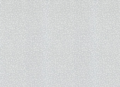 Вінілові шпалери на флізеліновій основі LS ФОЕ ФОЭ-1012/2 сіро-білий
