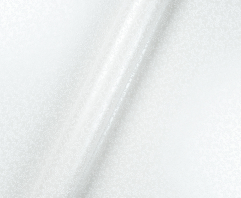 Вінілові шпалери на флізеліновій основі LS Голден ДХН-1498/1 білий 10,05 x 1,06 м - 4