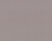 Вінілові шпалери гарячого тиснення LS Сакура СШТ 7-1441 темно-капучиновий 10,05 x 1,06 м