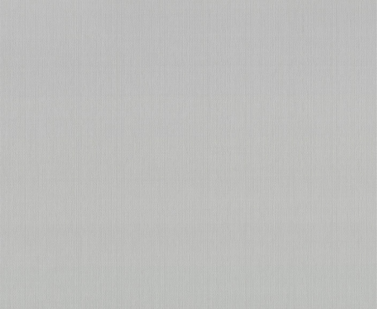 Вінілові шпалери на флізеліновій основі LS Денім ДХН-1421/4 світло-сірий 10,05 x 1,06 м - 1