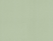 Вінілові шпалери гарячого тиснення LS Аделіна СШТ 1-1213 світло-зелений 10,05 x 1,06 м