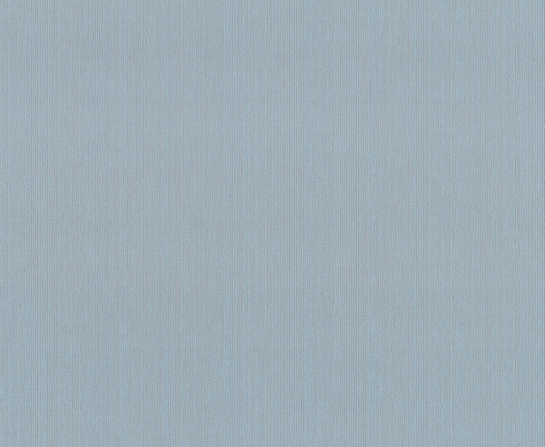 Вінілові шпалери на флізеліновій основі LS Денім ДХН-1421/6 сіро-блакитний 10,05 x 1,06 м - 1