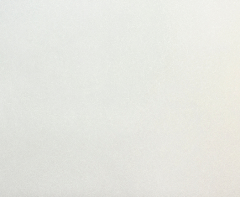 Вінілові шпалери на флізеліновій основі LS Під фарбу PRO 3 білий 25 x 1,06 м - 2