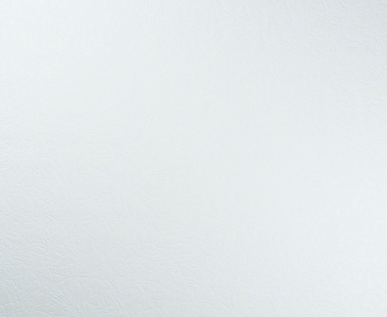 Вінілові шпалери на флізеліновій основі LS Під фарбу СА-108 білий 10,05 x 1,06 м - 2