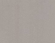 Виниловые обои на бумажной основе LS Нино ВКП 5-1269 темно-серый 10,05 x 0,53 м