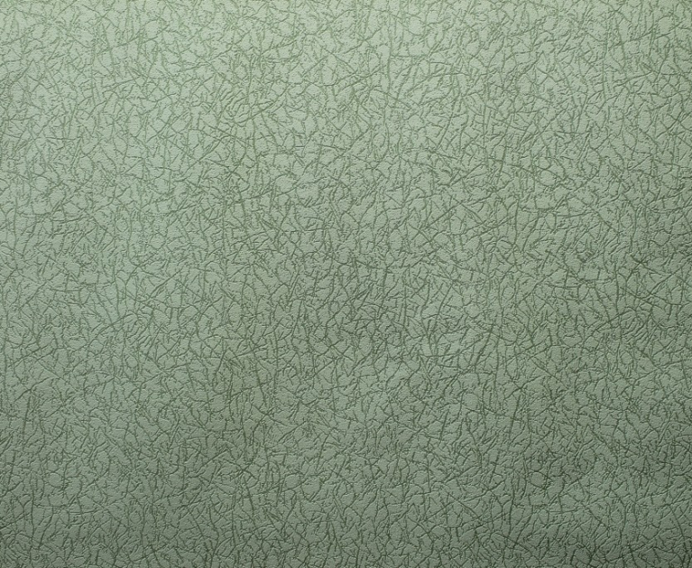 Виниловые обои на флизелиновой основе LS ФОЭ ФОЭ-1014/3 темно-салатовый 10,05 x 1,06 м - 2