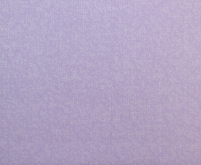 Вінілові шпалери на флізеліновій основі LS Зан ДХН-1425/7 лавандовий 10,05 x 1,06 м - 3