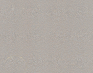 Виниловые обои на бумажной основе LS Нино ВКП 6-1269 серо-бежевый 10,05 x 0,53 м