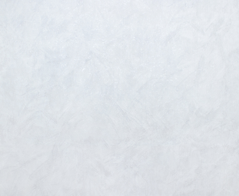 Вінілові шпалери гарячого тиснення LS Прімавера ТФШ 1-1349 біло-сірий 10,5 x 1,06 м - 2