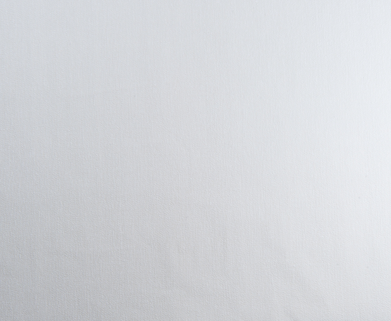 Вінілові шпалери на флізеліновій основі LS Атуріна ДХН-1496/5 сірий 10,05 x 1,06 м - 2