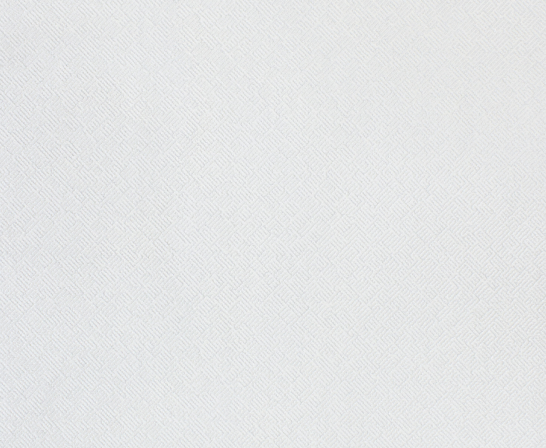 Вінілові шпалери на паперовій основі LS Твіл НКП 3-0785 тепло-бежевий 15 x 0,53 м - 2