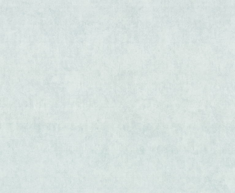 Вінілові шпалери гарячого тиснення LS Парадіз СШТ 4-1553 блакитний 10,05 x 1,06 м - 2
