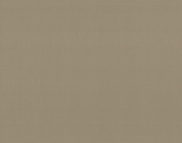 Вінілові шпалери гарячого тиснення LS ФК СШТ 10-1215 світло-коричневий 10,05 x 1,06 м