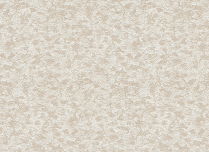 Виниловые обои на флизелиновой основе LS Алонсо ДХН-1251/1 бежево-кофейный 10,05 x 1,06 м