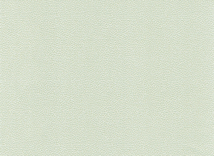 Вінілові шпалери на паперовій основі LS Аліна ВКП2-1176 салатовий 10,05 x 0,53 м
