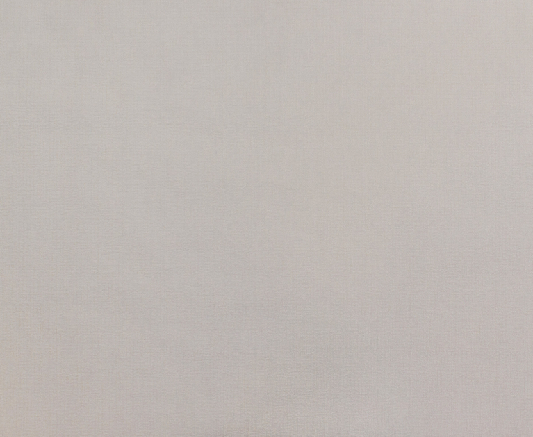 Вінілові шпалери на флізеліновій основі LS Кола ДХН-1491/1 світло-бежевий 10,05 x 1,06 м - 2