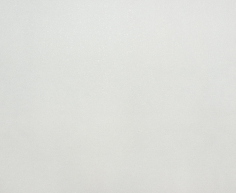 Вінілові шпалери гарячого тиснення LS Вихор СШТ 2-1449 бежево-пісочний 10,5 x 1,06 м - 2