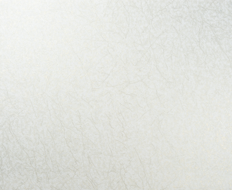 Виниловые обои на флизелиновой основе LS Клейн ДХС-1412/1 молочно-золотисто-жемчужный 10,05 x 1,06 м - 2