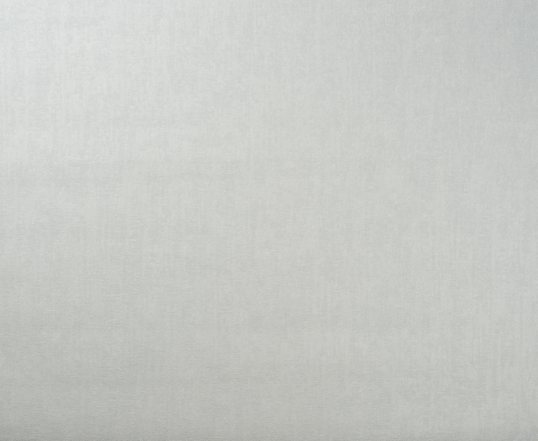 Виниловые обои на флизелиновой основе LS Донна ДХН-1429/3 светло-серый 10,05 x 1,06 м - 2