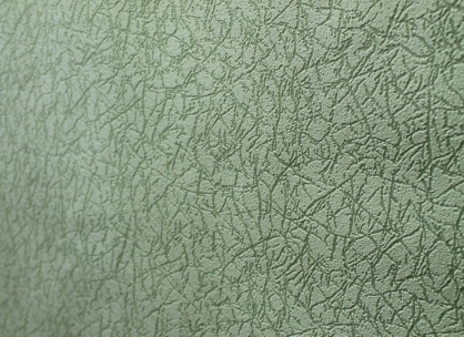 Виниловые обои на флизелиновой основе LS ФОЭ ФОЭ-1014/3 темно-салатовый 10,05 x 1,06 м