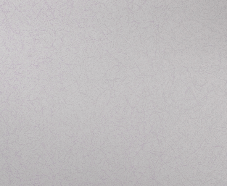 Вінілові шпалери на флізеліновій основі LS Під фарбу PRO 3 - Light1 капучиновий 10,5 x 1,06 м - 2