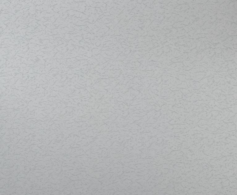 Вінілові шпалери на флізеліновій основі LS Під фарбу PRO 4 - Light3 темно-сірий 10,5 x 1,06 м - 2