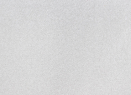 Вінілові шпалери на флізеліновій основі LS Нео ДХН-1370/4 сірий 10,05 x 1,06 м
