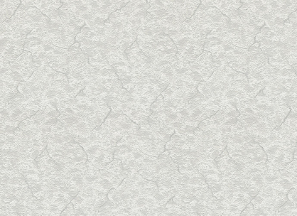 Вінілові шпалери на флізеліновій основі LS Алонсо ДХН-1251/5 світло-сірий 10,5 x 1,06 м