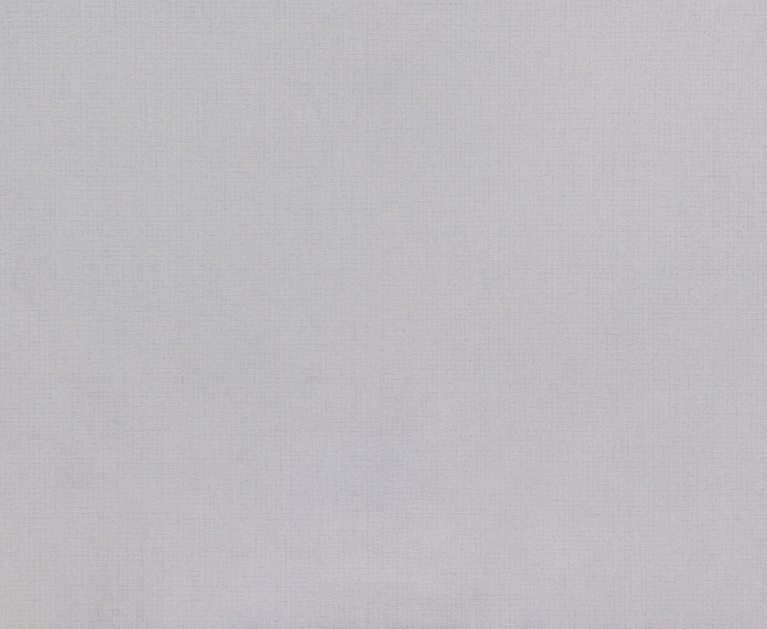 Вінілові шпалери на флізеліновій основі LS Кола ДХН-1491/3 світло-сірий 10,05 x 1,06 м - 2