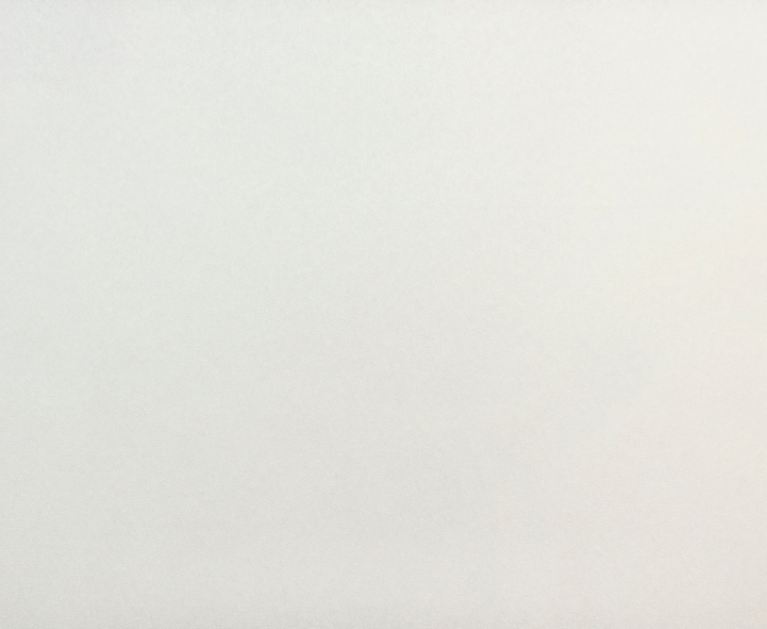 Вінілові шпалери на флізеліновій основі LS Під фарбу PRO 1 білий 25 x 1,06 м - 2