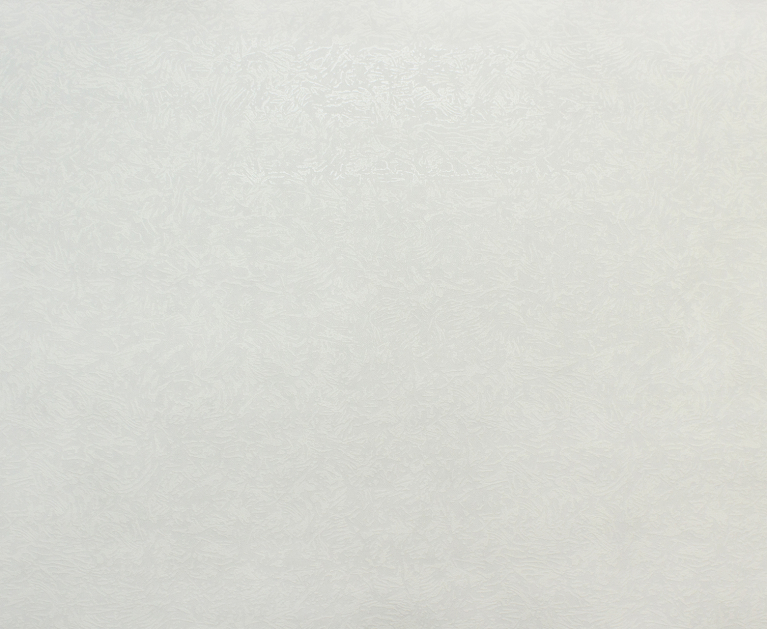 Вінілові шпалери на флізеліновій основі LS Орхан ДХС-1417/1 молочний 10,05 x 1,06 м - 2