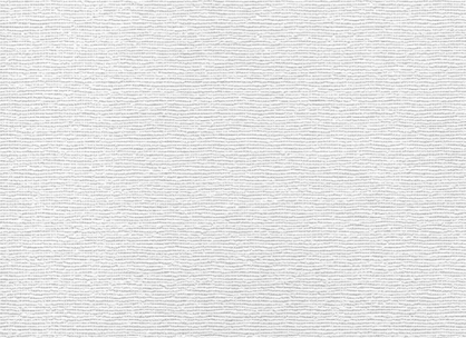Вінілові шпалери на флізеліновій основі LS Під фарбу С-233 білий 25 x 1,06 м