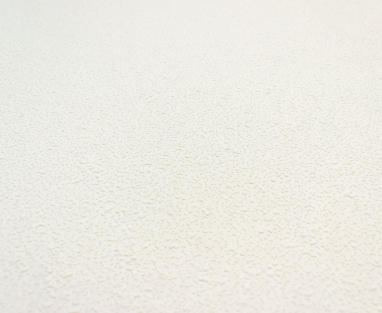 Вінілові шпалери на флізеліновій основі LS Під фарбу PRO 2 білий 25 x 1,06 м - 3